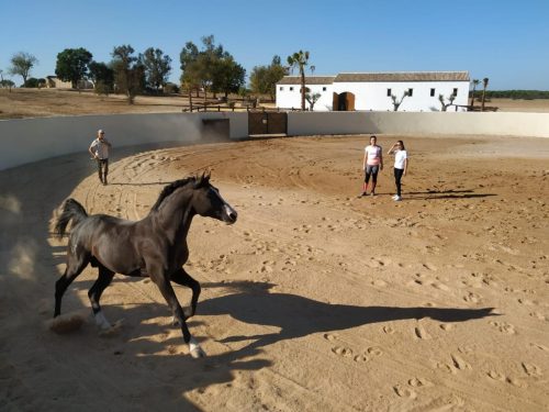 2019-JOURNEE-FRANCAISE-005