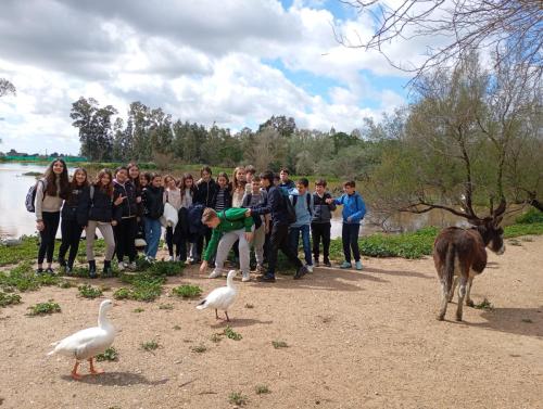 2025 pajaros03